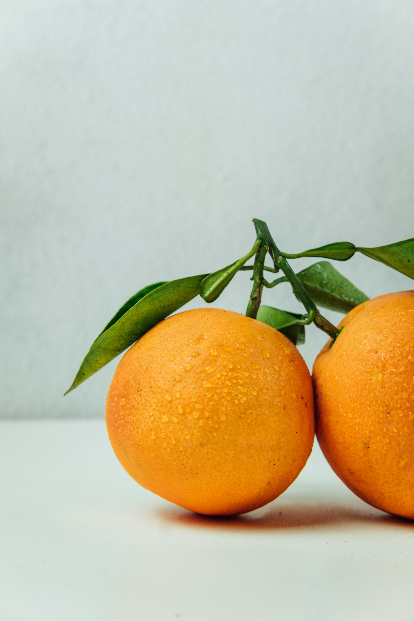 Blood Orange: A Love Letter